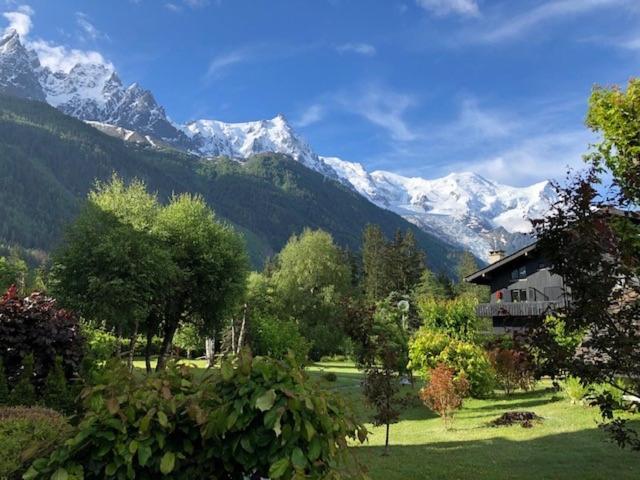 Studio Au Calme Avec Jardin Et Vue Mont-Blanc Chamonix Exterior foto